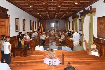Pleno ordinario de julio de 2022/Francisco Javier Santana.